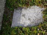 image of grave number 554971